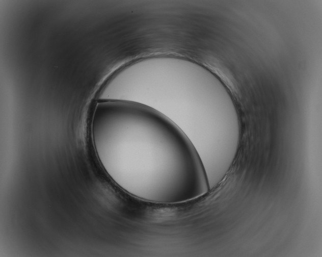 X0000088220156200705151036
