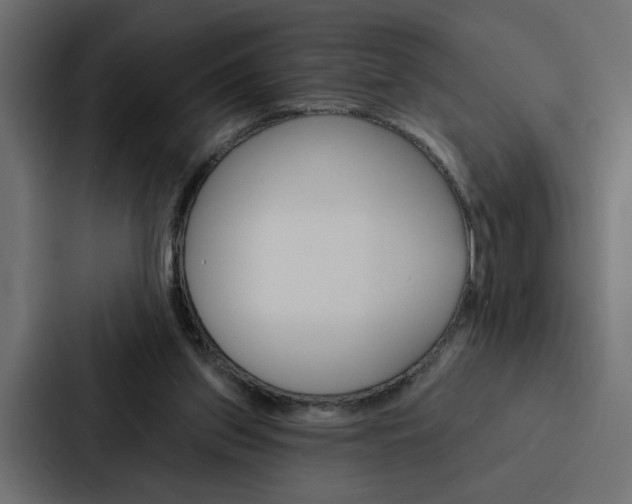X0000088220157200705151036