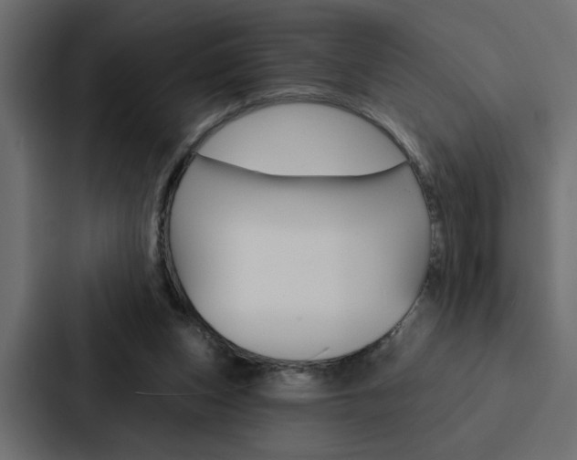 X0000088220159200705151036