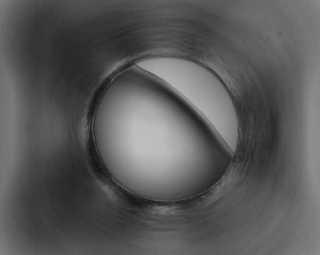 X0000088220160200705151036