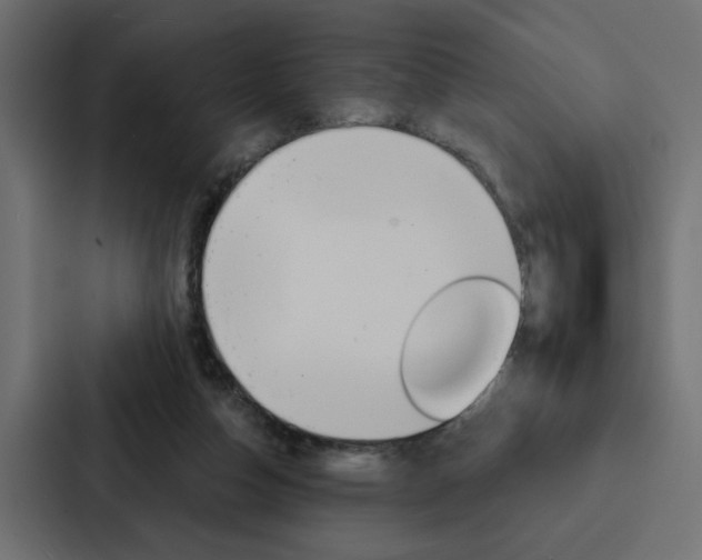 X0000088220162200705151036