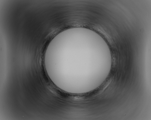 X0000088220165200705151036