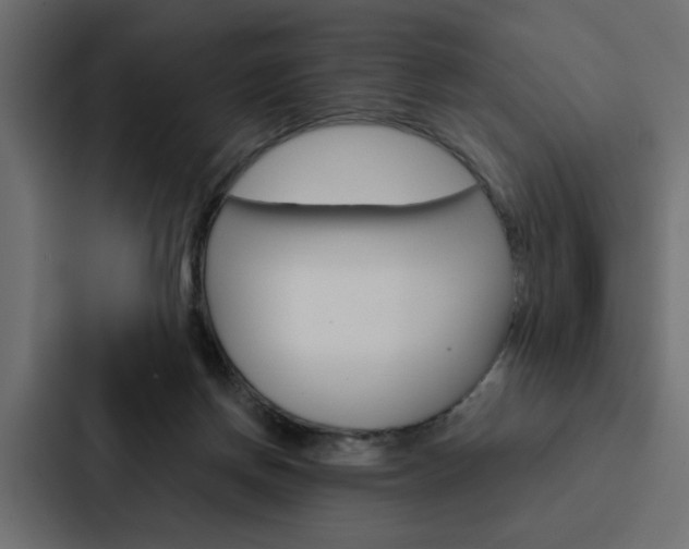 X0000088220166200705151036