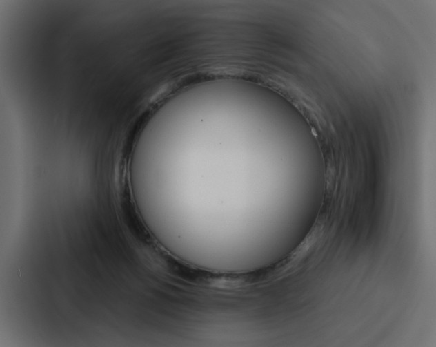 X0000088220168200705151036