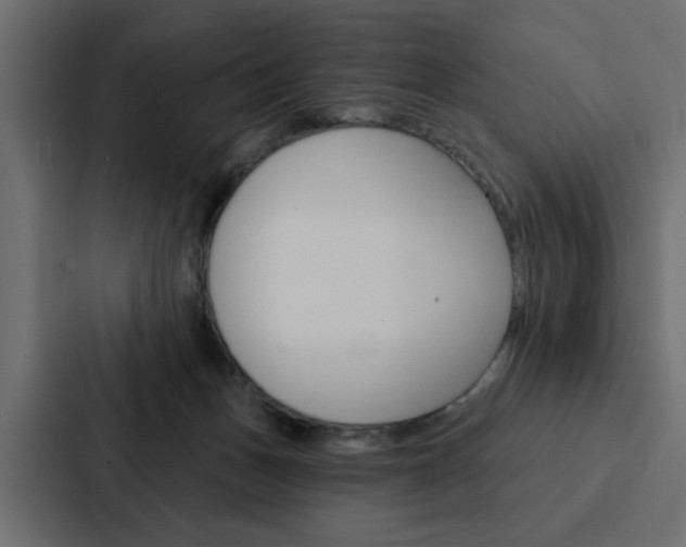 X0000088220175200705151036