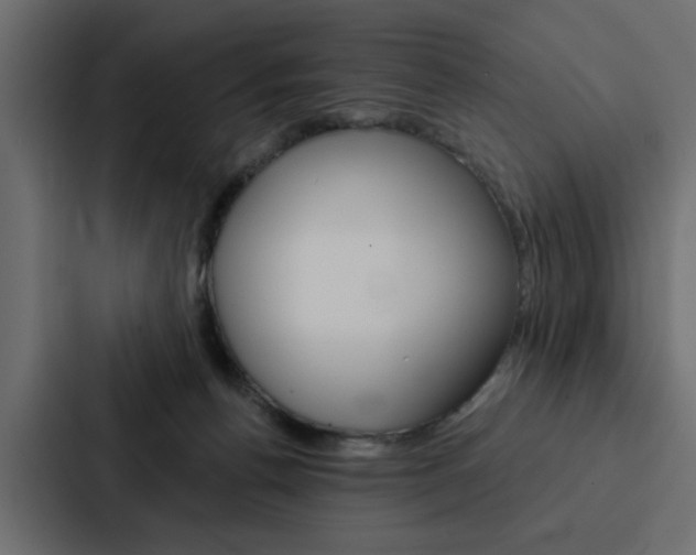 X0000088220176200705151036