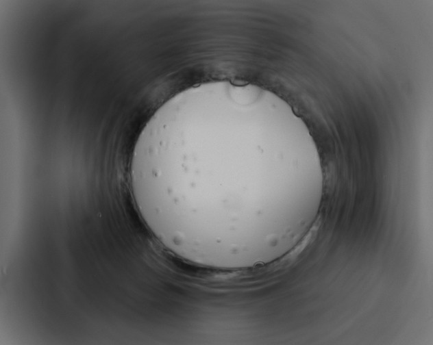 X0000088220178200705151036