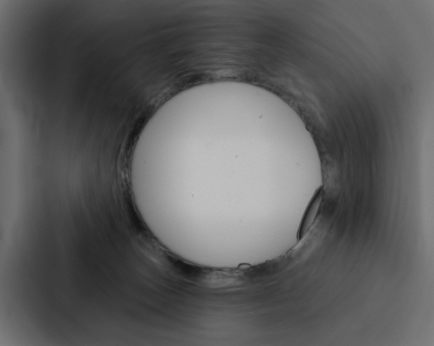 X0000088220179200705151036