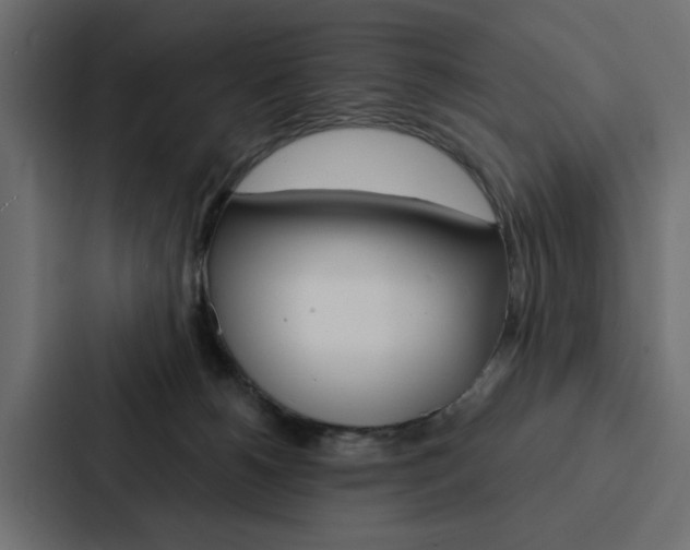 X0000088220180200705151036