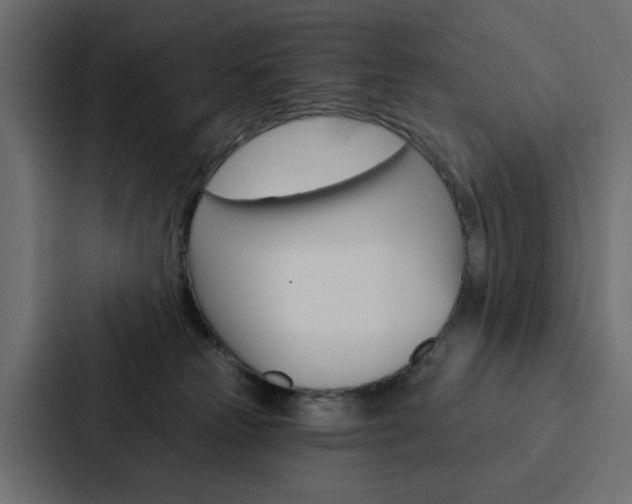 X0000088220181200705151036