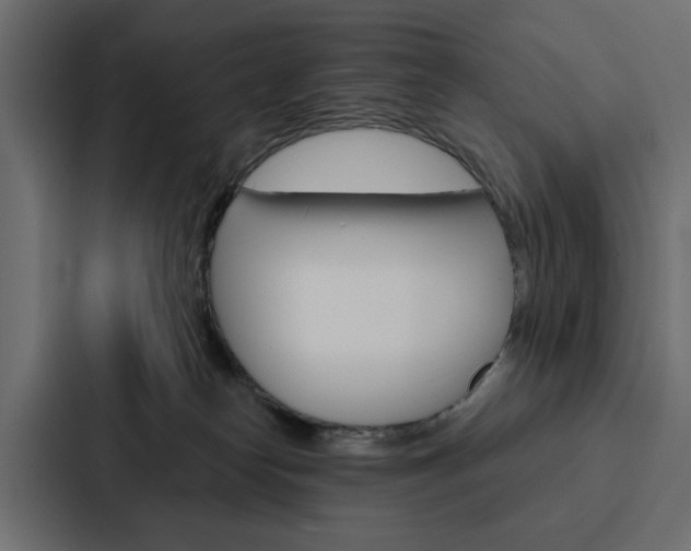 X0000088220182200705151036