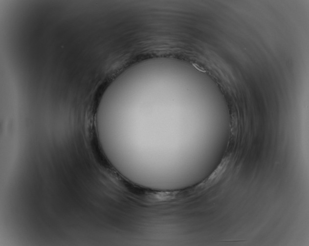 X0000088220184200705151036