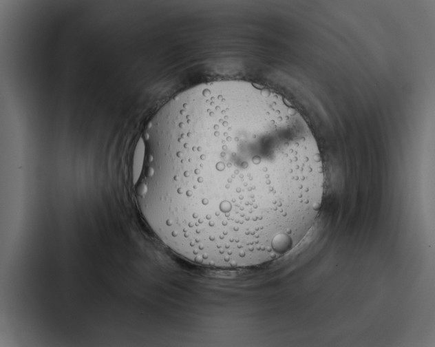 X0000088220187200705151036