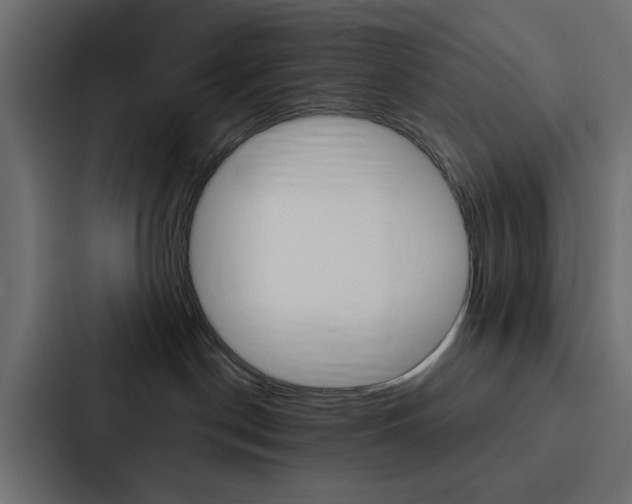 X0000088220190200705151036