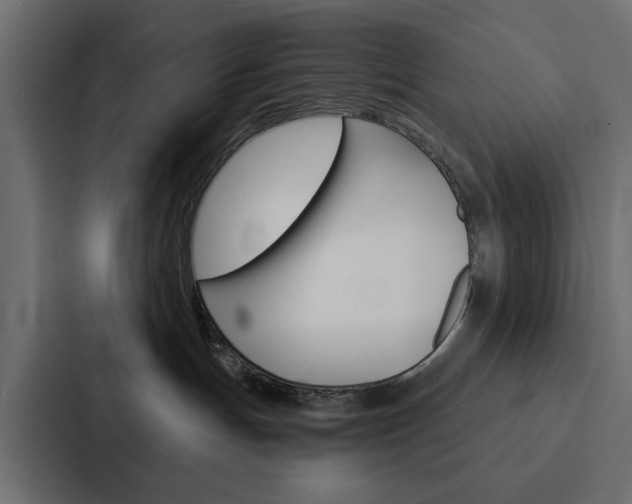 X0000088220191200705151036