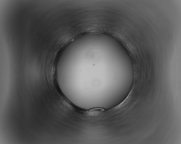 X0000088220192200705151036
