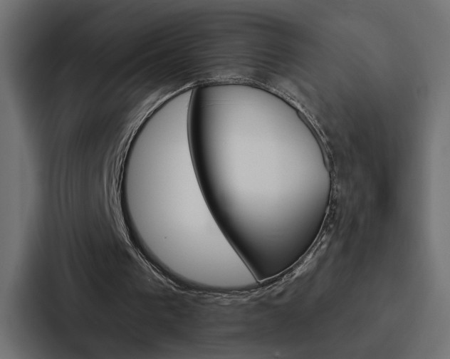 X0000088220193200705151036