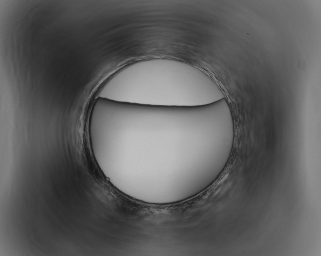 X0000088220194200705151036