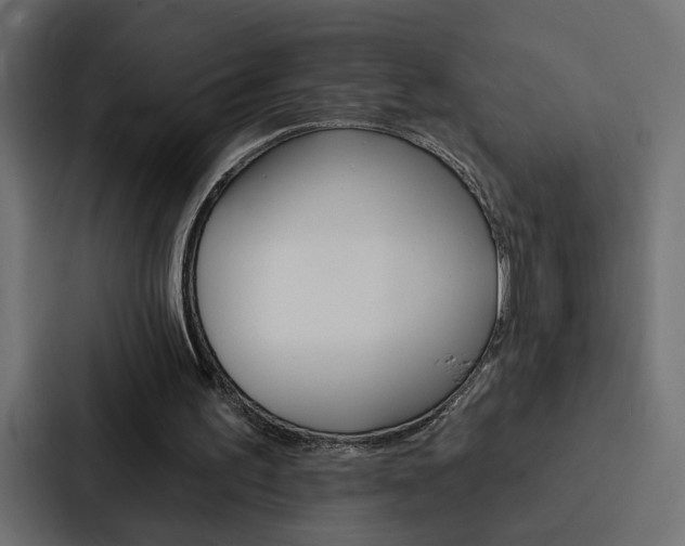 X0000088220195200705151036