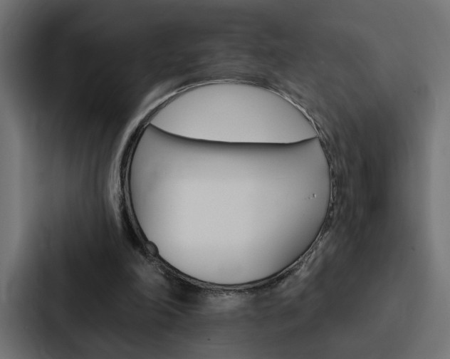 X0000088220198200705151036