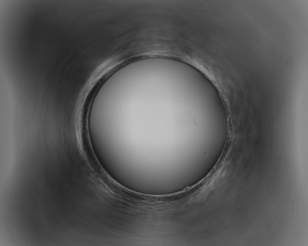 X0000088220199200705151036