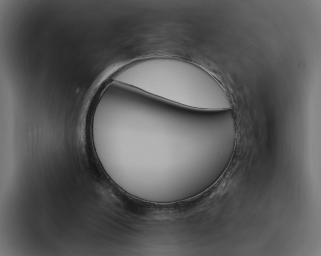 X0000088220200200705151036