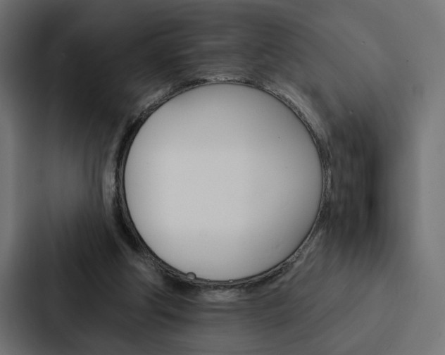 X0000088220202200705151035