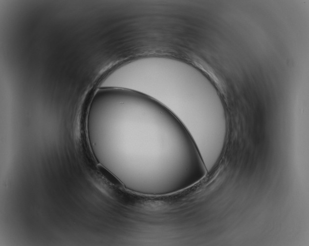 X0000088220203200705151035