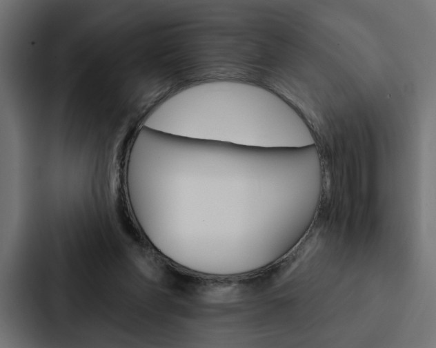 X0000088220206200705151035