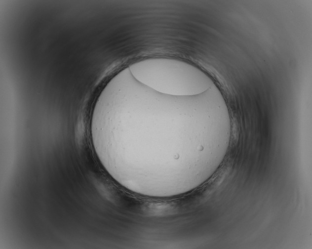 X0000088220208200705151035