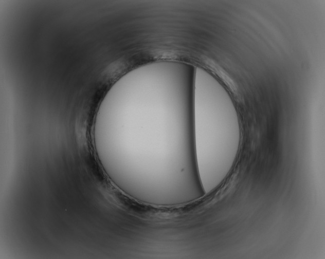 X0000088220209200705151035