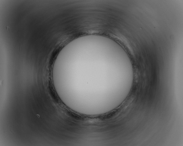 X0000088220210200705151035