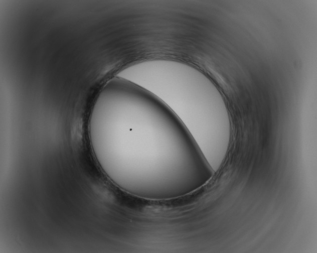X0000088220211200705151035