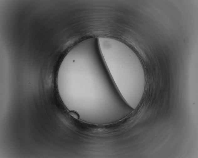 X0000088220212200705151035