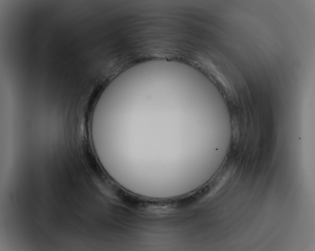 X0000088220213200705151035