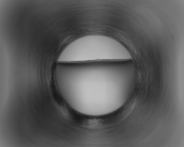 X0000088220216200705151035
