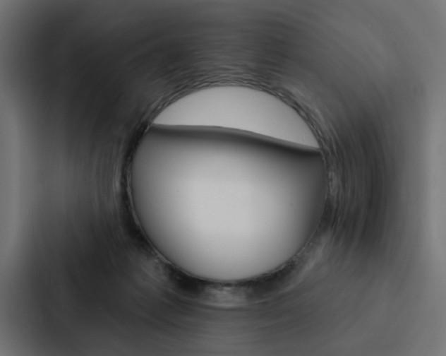 X0000088220221200705151035