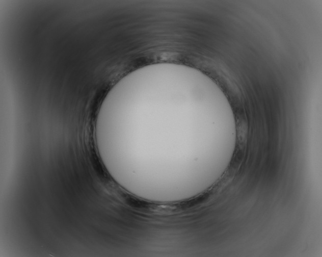 X0000088220222200705151035