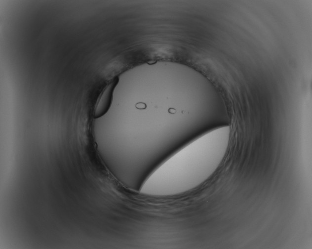 X0000088220223200705151035