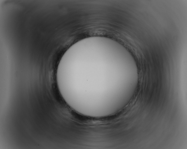 X0000088220224200705151035
