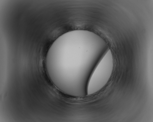 X0000088220225200705151035
