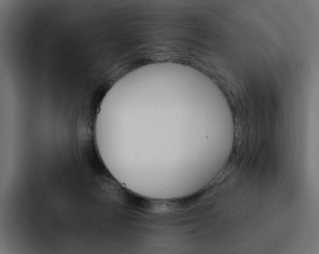 X0000088220226200705151035