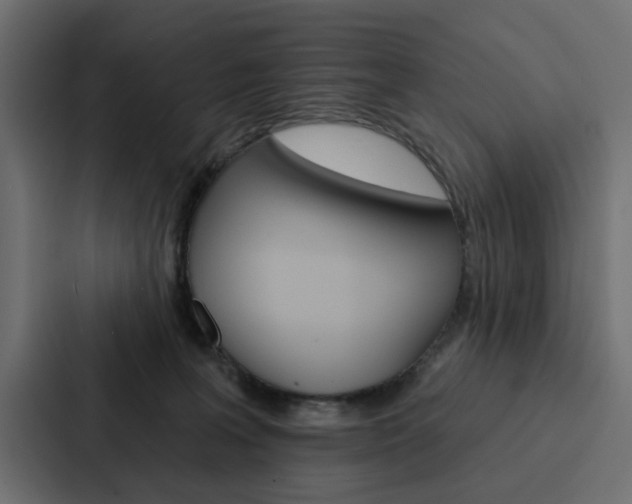 X0000088220227200705151035