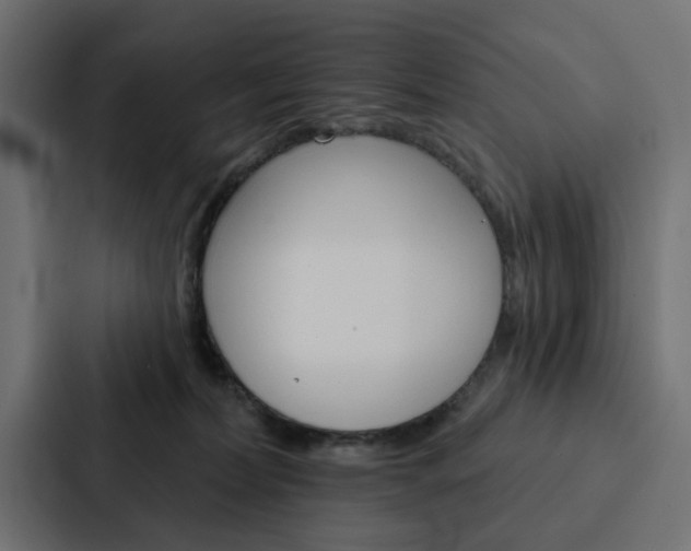 X0000088220228200705151035