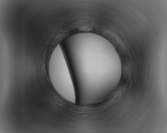 X0000088220229200705151035