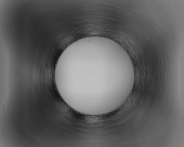 X0000088220230200705151035