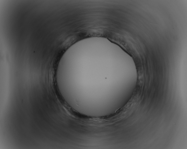 X0000088220231200705151035