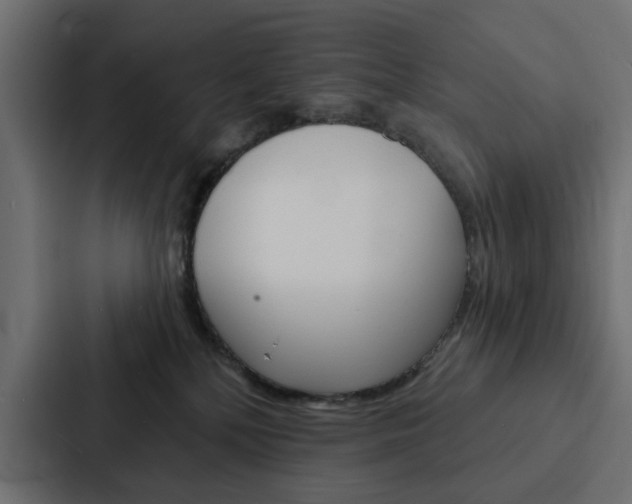 X0000088220232200705151035