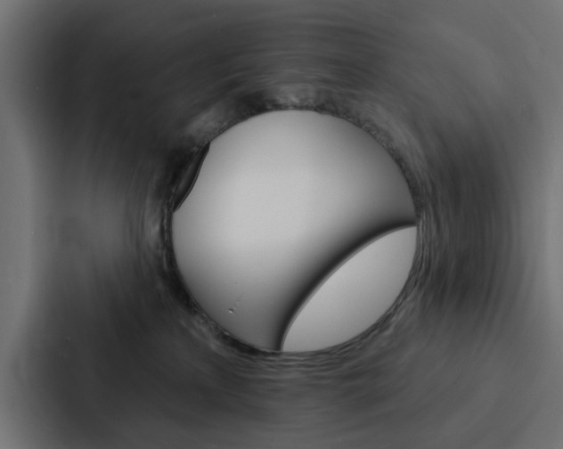 X0000088220233200705151035