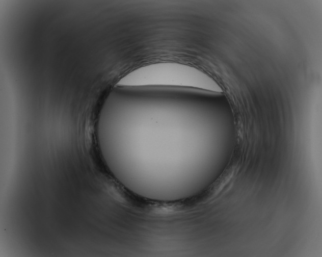 X0000088220235200705151035